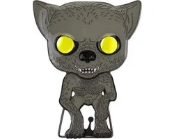 Funko Pop! - Harry Potter Pin Enamel Remus Lupin 10 cm Multicolours