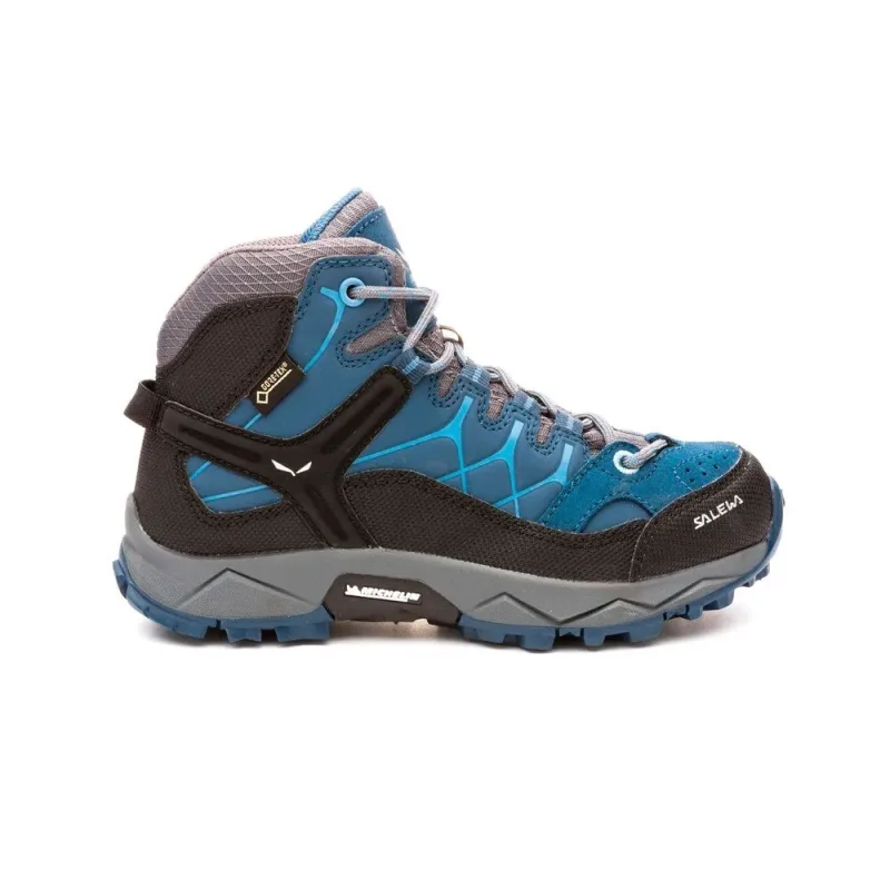 Alp Trainer Mid Goretex